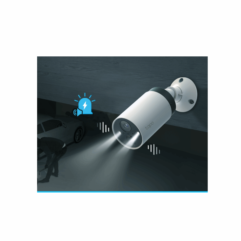 Camera TP-Link Tapo C420 S1